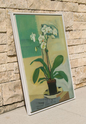 Still life with white orchid in a black pot