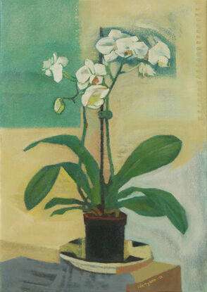 Still life with white orchid in a black pot