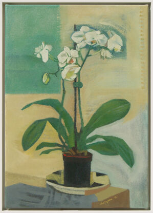 Still life with white orchid in a black pot