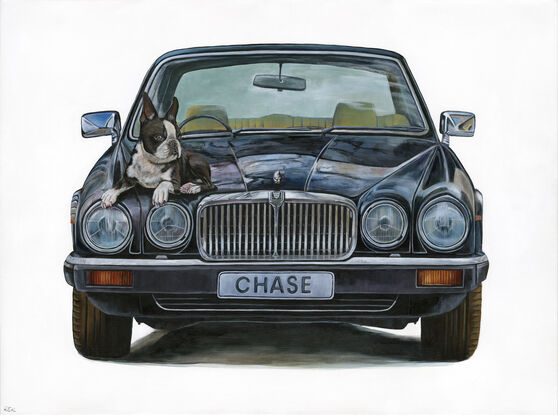 Photo realistic Jaguar xj6 with Boston terrier  on  white background 