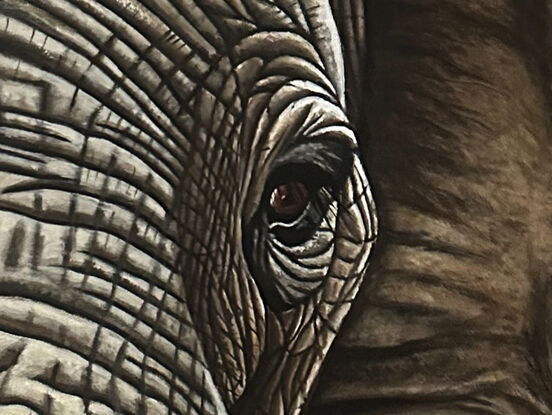 Amarula Elephant - Original Acrylic Painting by Anne-Marie Bloor