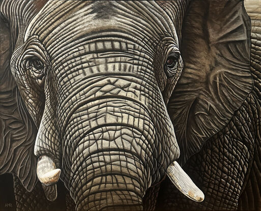 Amarula Elephant - Original Acrylic Painting by Anne-Marie Bloor