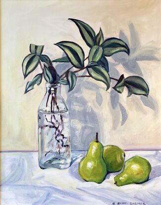 Stripy leaved plant cuttings in a glass bottle on a white tablecloth with 3 green pears alongside. 