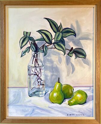 Stripy leaved plant cuttings in a glass bottle on a white tablecloth with 3 green pears alongside. 