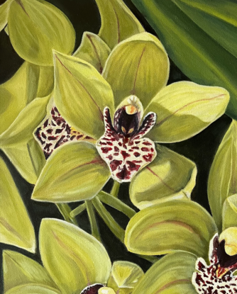 Three green orchid flowers with Maroon and white centres and dark background 