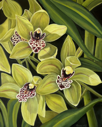 Three green orchid flowers with Maroon and white centres and dark background 