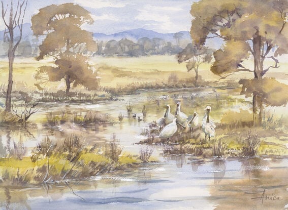 Bulahdelah vista to the west showing Myall River wetlands and Mountain range with a group of Spoonbills enjoying the wetlands.