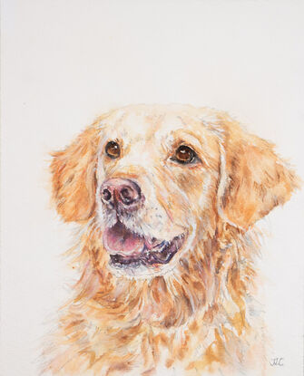 Original Watercolour Painting of a happy Golden Retriever dog. 