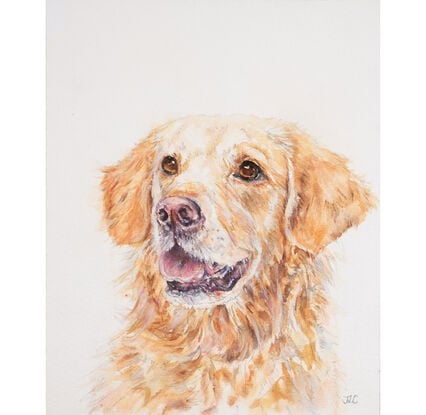 Original Watercolour Painting of a happy Golden Retriever dog. 