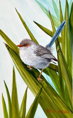 A tiny Jenny Wren is perched on a palm leaf, holding on tightly with her tiny feet. There is a balance between fragile and robust in this painting. The delicate colours of Jenny with her soft blue tail feathers and grey and white body feathers, plus her orange beak and orange feathers surrounding her eye, contrast well against the strong olive greens of the palm leaf. Soft blues and greens make up the background colours.