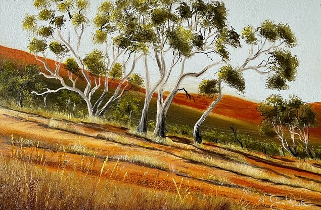 Australian Outback hill landscape dirt road and gumtrees 