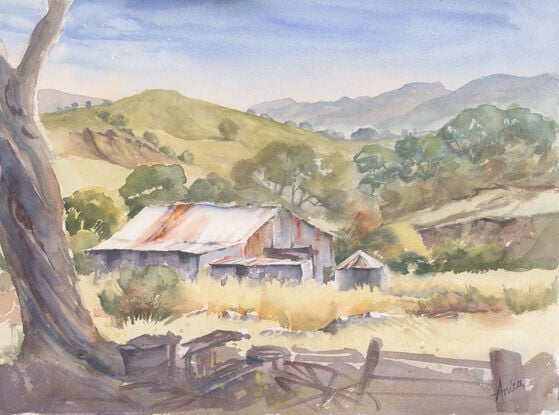 A rural shed in long grass with distant hills semi covered in trees and a shadowed tree with debris in the foreground.