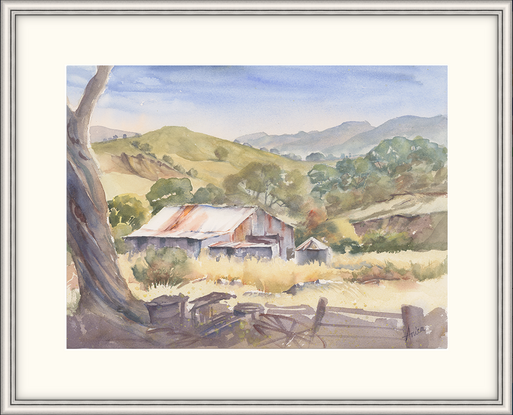 A rural shed in long grass with distant hills semi covered in trees and a shadowed tree with debris in the foreground.