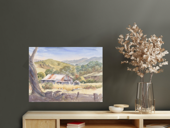 A rural shed in long grass with distant hills semi covered in trees and a shadowed tree with debris in the foreground.