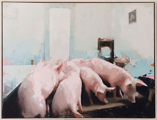 Pigs in a room, pink on blue