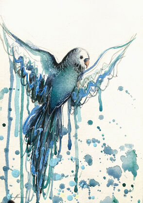 Watercolour blue budgie flying by Sydney bird artist Leni Kae