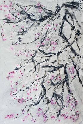 cherry blossom flowers and cherry tree in white, pink nd black.