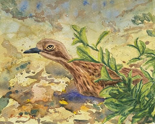 Curlew bird sitting behind bush on the ground. 