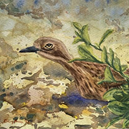 Curlew bird sitting behind bush on the ground. 