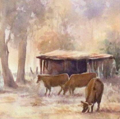 Brown cows in foreground of misty trees and small shed