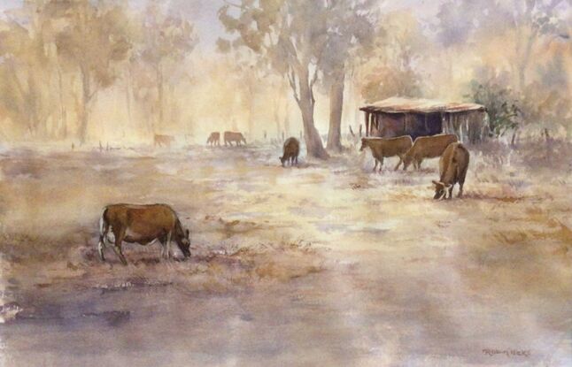 Brown cows in foreground of misty trees and small shed