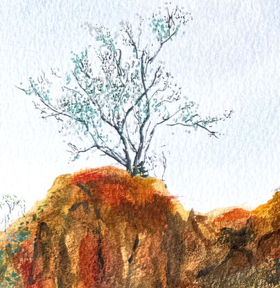 Red rock cliff stands boldly in the desert with trees and grasses bordering.