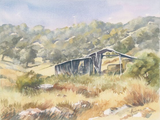 An old hay shed in long grass with rolling tree-covered hills with a bathtub to the side.