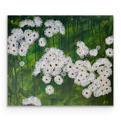 Aboriginal eucalyptus flowers 