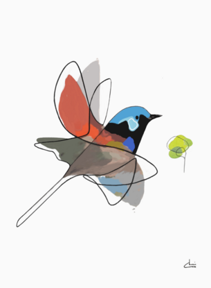 Multi coloured fairywren bird in flight with  tree leaves