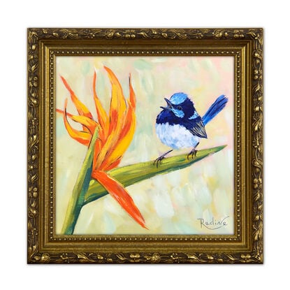 Superb Fairy Wren and Birds of Paradise original painting by Irina Redine. Australian nature small artwork framed and ready to hang, gift idea