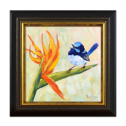 Superb Fairy Wren and Birds of Paradise original painting by Irina Redine. Australian nature small artwork framed and ready to hang, gift idea