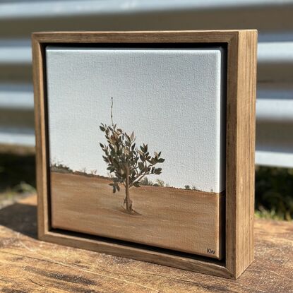 Karratha desert native bushland sand red dirt