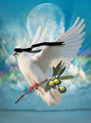 A dove holding and olive branch flies blindfolded to unknown destinations