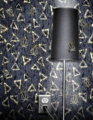 delta shaped moths on delta patterned wallpaper