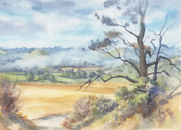 Scenery from a country road with rolling hills in the distance slightly covered in mist, golden fields in the mid ground and a large tree in the foreground.