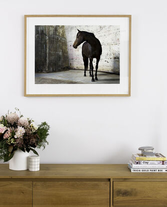 brown horse standing looking away with an urban background