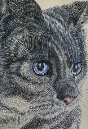 This is a portrait of a cat named Smudge - My name's Smudge. I think it's because I have a smudge 
of blue in my fur to match the blue of my eyes. I'm created in Watercolour  and, like 
most cats, have lots of fur and whiskers which takes lots of patience and layers to 
paint. Thanks to Lisa Heath for photo inspo and room displays by @insituartroom