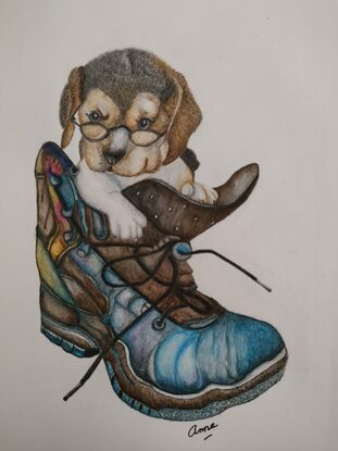 Cute little puppy in shoe