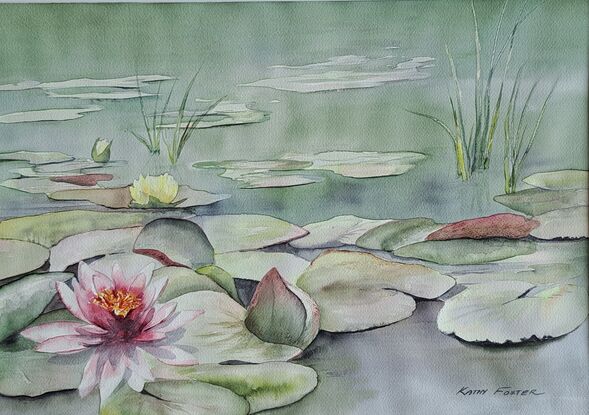 Surface of a pond with pink waterlilies & floating leaves. Greenish grey colours.