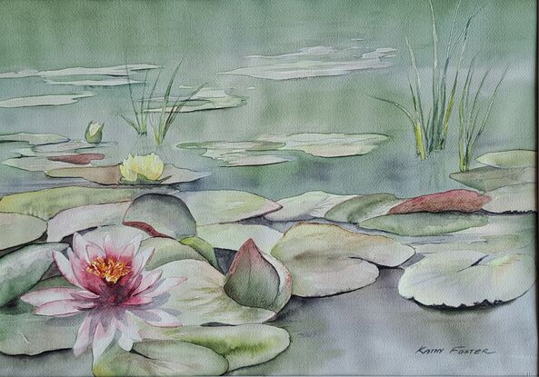 Surface of a pond with pink waterlilies & floating leaves. Greenish grey colours.