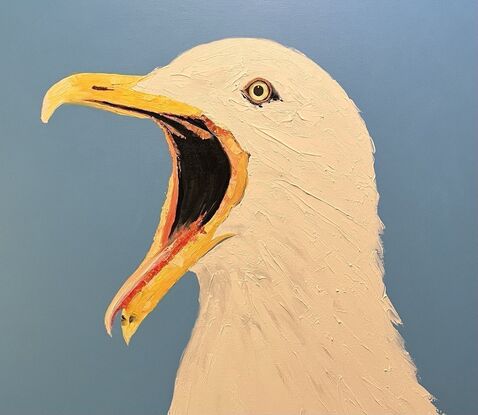  The Australian Seagull in Oils