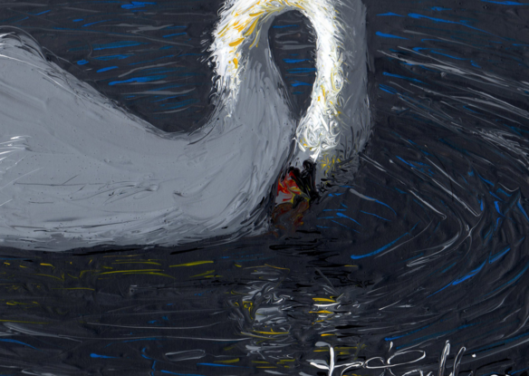 A floating swan gazes into rippling, dark waters. Bright warm light catches it’s arching neck.