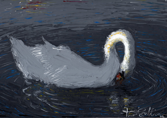 A floating swan gazes into rippling, dark waters. Bright warm light catches it’s arching neck.