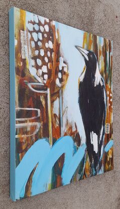 Magpie and banksias