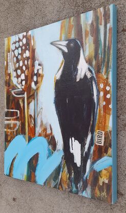 Magpie and banksias