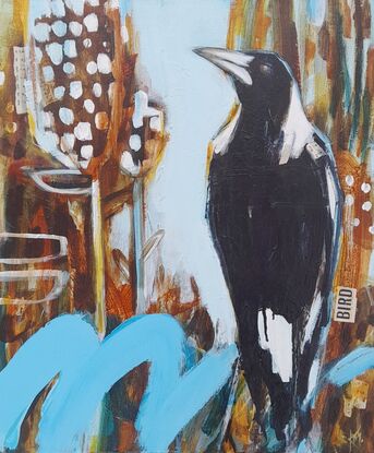 Magpie and banksias