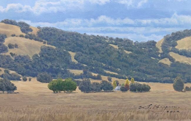 The hills on the Northern side of Lake George, near Canberra.