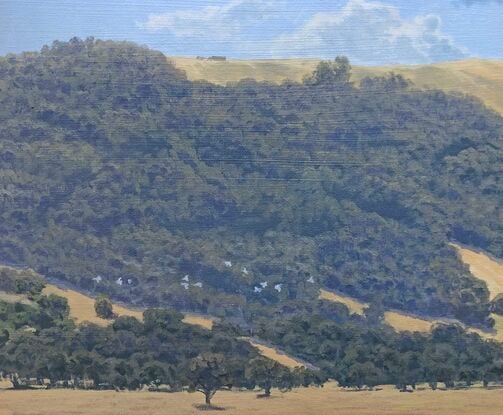 The hills on the Northern side of Lake George, near Canberra.