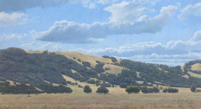 The hills on the Northern side of Lake George, near Canberra.