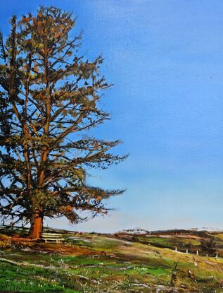 A landscape oil painting of a solitary tree with a park bench underneath. 